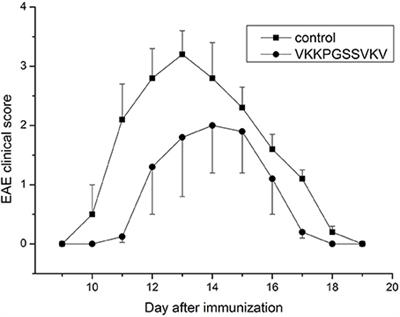 Efficacy of Synthetic Peptide Corresponding to the ACTH-Like Sequence of Human Immunoglobulin G1 in Experimental Autoimmune Encephalomyelitis